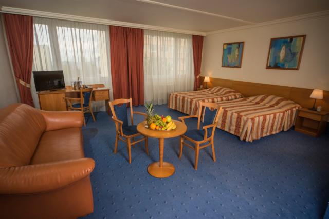 Executive Double or Twin Room - Free Cancellation