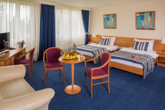 Superior Double or Twin Room - Free Cancellation