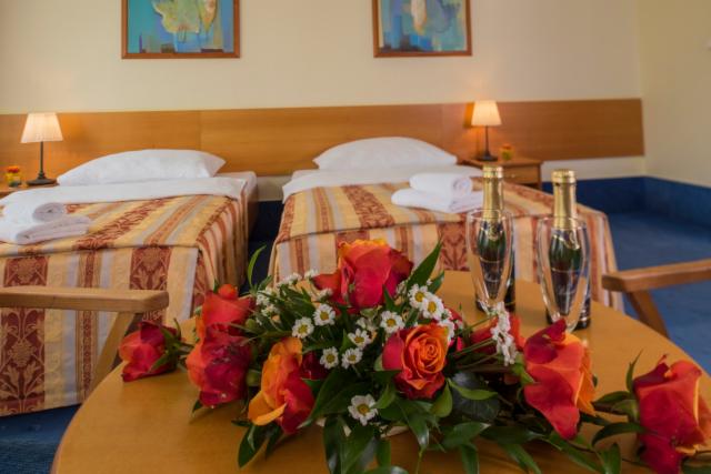 Executive Double or Twin Room - Non-refundablePay Now & Save 10%